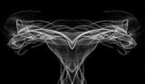 Light Motion Series II 4 bw