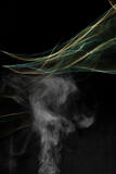 Smoke Test 7 