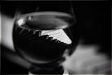 Night Vibes Black and White I