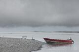 Arctic