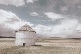 An Afternoon In the Prairie