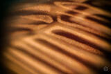 Butterly Effect XXI