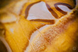 Butterly Effect XXIV