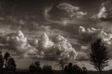 Cloud Carving