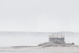 Edge of the Arctic Ocean