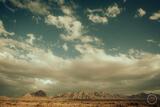 New Mexico Calling