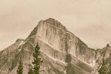 Remember the Mountain Jasper