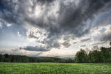 The Field Where We Met Last Summer