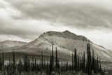 Where I Stay in black and white