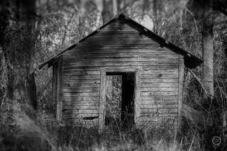 Abandoned Georgia