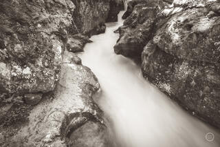 Avalance Creek