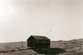 Barn Roost