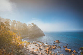 Breaking Through the Mist