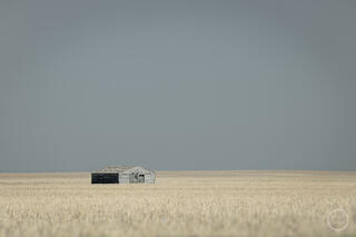 A lone weathered barn sits at the center of a vast Oklahoma wheat field beneath a flat, steel-gray storm sky — fine art landscape photography by Nathan Larson
