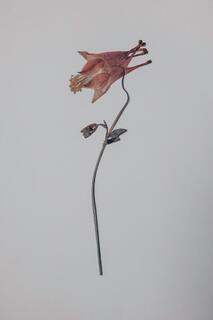 Field Journal Entry VIII; photograph by Nathan Larson.