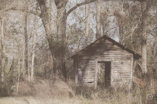 Georgia Backroad Afternoons