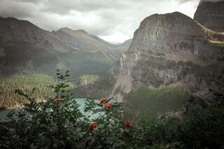 Glacier National Park Summer; photograph by Nathan Larson.