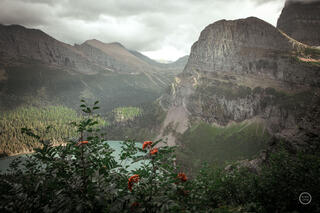 Glacier National Park Summer