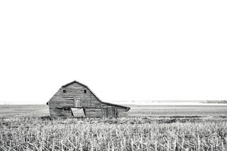 Leaning Barn