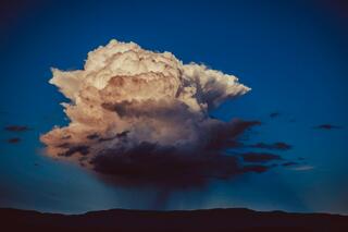 Full Color; photograph by Nathan Larson.