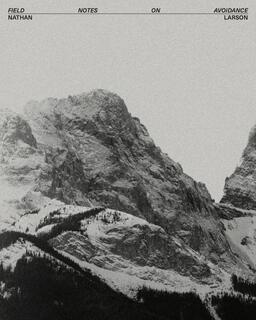 Field Notes on Avoidance: Mountain Cover