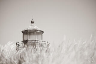 Oregon Coast Lighthouse Views