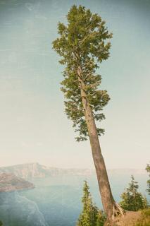 Oregon Lookout