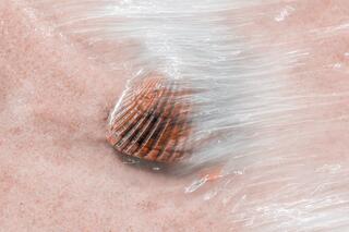 Shell Ripples V — water; photograph by Nathan Larson.