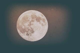 Spring Moon Tones II; photograph by Nathan Larson.