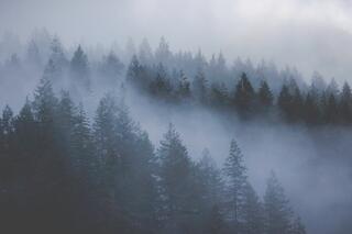 The Cove — deep cove; photograph by Nathan Larson.