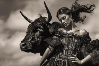 Vaca Flamenco Sepia Dreams I