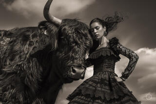 Vaca Flamenco Sepia Dreams IV