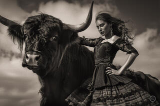 Vaca Flamenco Sepia Dreams XII