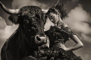 Vaca Flamenco Sepia Dreams XIII