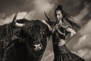 Vaca Flamenco Sepia Dreams XIV