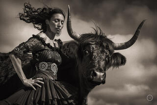 Vaca Flamenco Sepia Dreams XVI