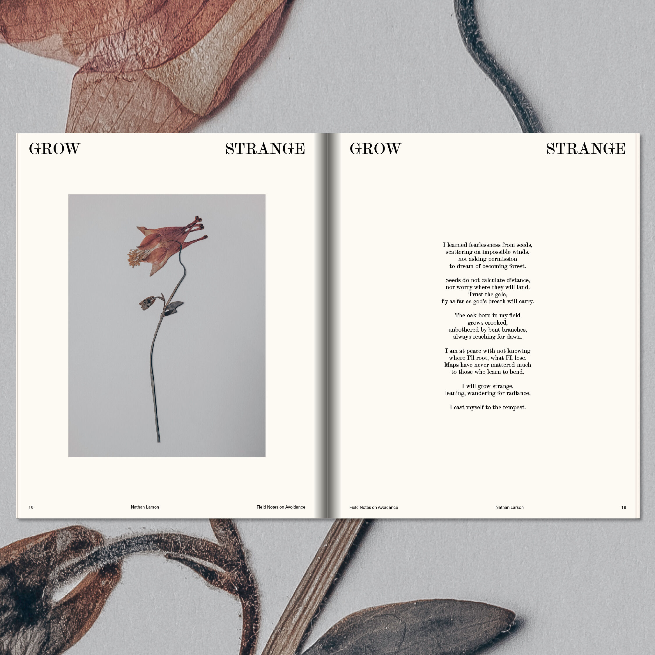 Open pages from Field Notes on Avoidance by Nathan Larson